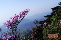 南丰军峰山盛景