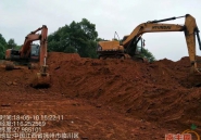 惊艳！市植物园已开工建设！莲花池、森林体验区…（附大量图）