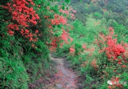 南丰，竟然有个靖王后裔的世外桃源！